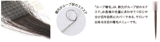 解説1