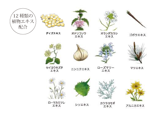 12種の植物エキス配合