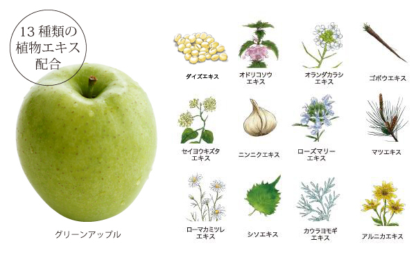 13種の植物エキス配合 リンゴ果実エキス、ダイズエキス、オドリコソウエキス、オランダカラシエキス、ゴボウエキス、セイヨウキズタエキス、ニンニクエキス、ローズマリーエキス、マツエキス、ローマカミツレエキス、シソエキス、カウラヨモギエキス、アルニカエキス