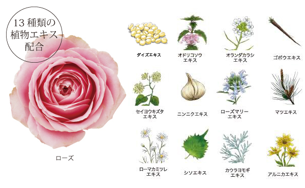 13種の植物エキス配合 ローズマリー葉エキス、ダイズエキス オドリコソウエキス、オランダカラシエキス、ゴボウエキス、セイヨウキズタエキス、ニンニクエキス、ローズマリーエキス、マツエキス、ローマカミツレエキス、シソエキス、カウラヨモギエキス、アルニカエキス