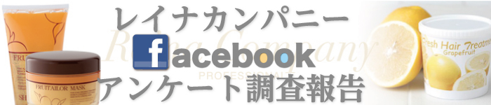 レイナカンパニーfacebookアンケート調査報告