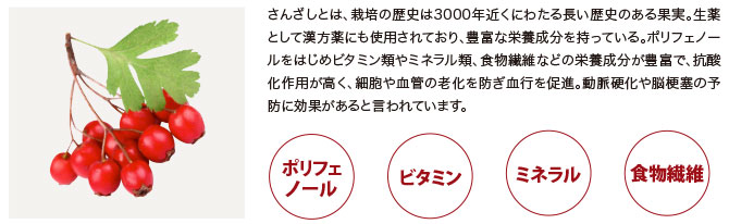解説図