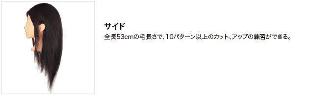 解説1