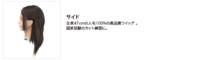 解説1